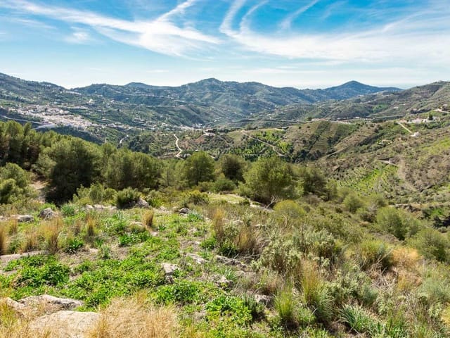 Image No.8-Terre à vendre à Canillas de Albaida