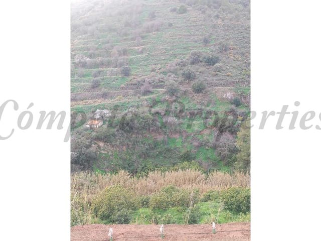 Image No.3-Terre à vendre à Torrox