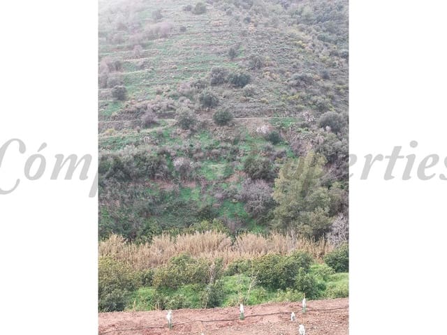 Image No.4-Terre à vendre à Torrox