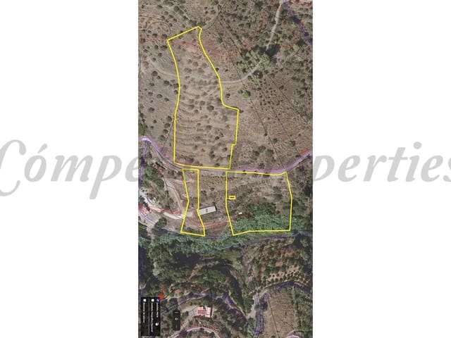 Image No.6-Terre à vendre à Torrox