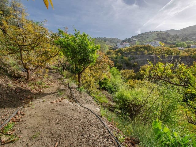 Image No.8-Finca de 1 chambre à vendre à Canillas de Albaida