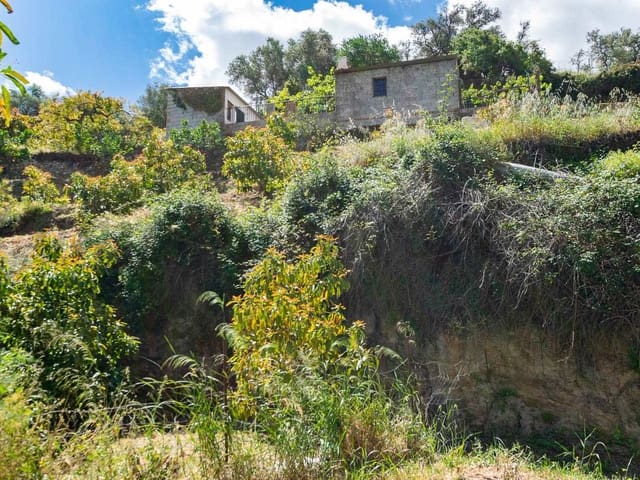 Image No.2-Finca à vendre à Cómpeta