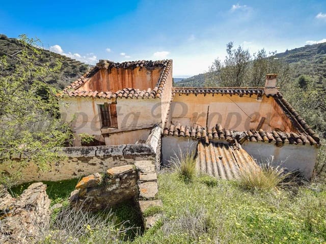 Image No.3-Terre à vendre à Torrox