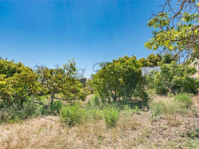 Image No.3-Terre à vendre à Nerja