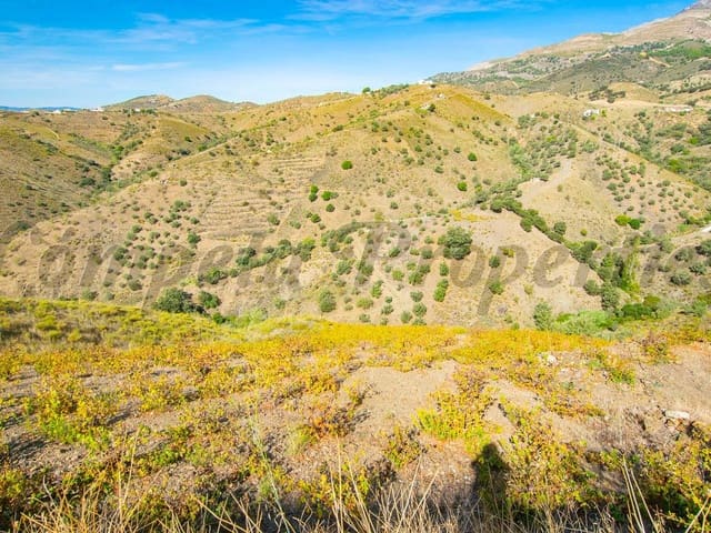 Image No.3-Terre à vendre à Sedella
