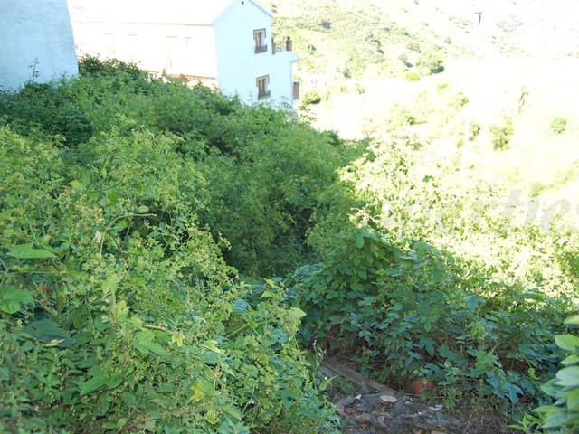 Image No.3-Terre à vendre à Cómpeta