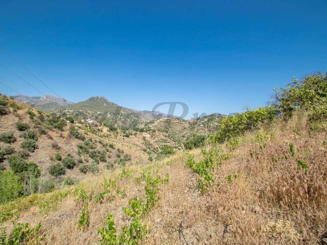 Image No.4-Terre à vendre à Torrox