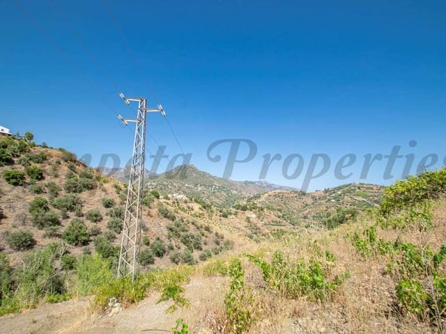 Image No.5-Terre à vendre à Torrox