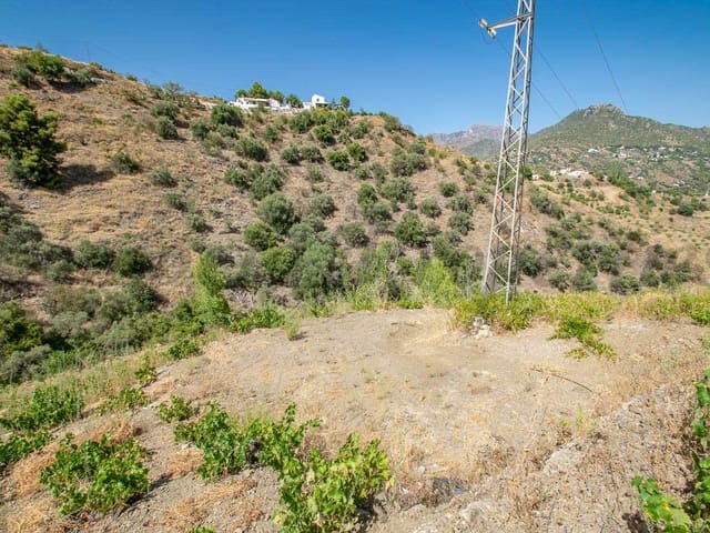 Image No.6-Terre à vendre à Torrox