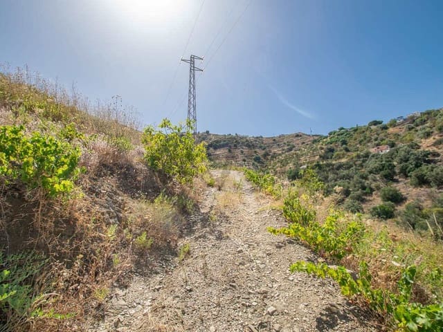 Image No.7-Terre à vendre à Torrox