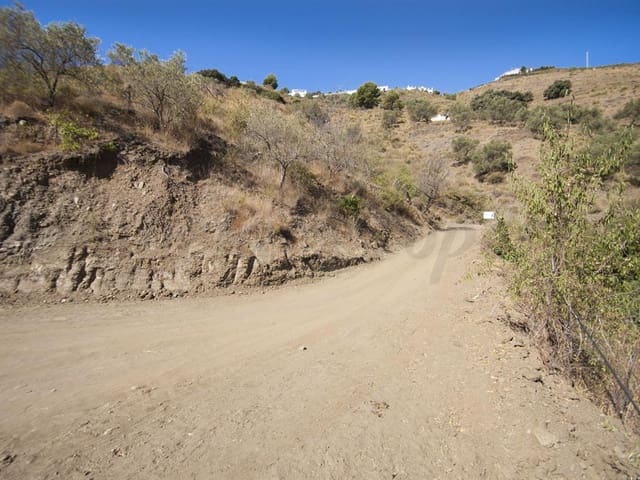 Image No.3-Terre à vendre à Cómpeta