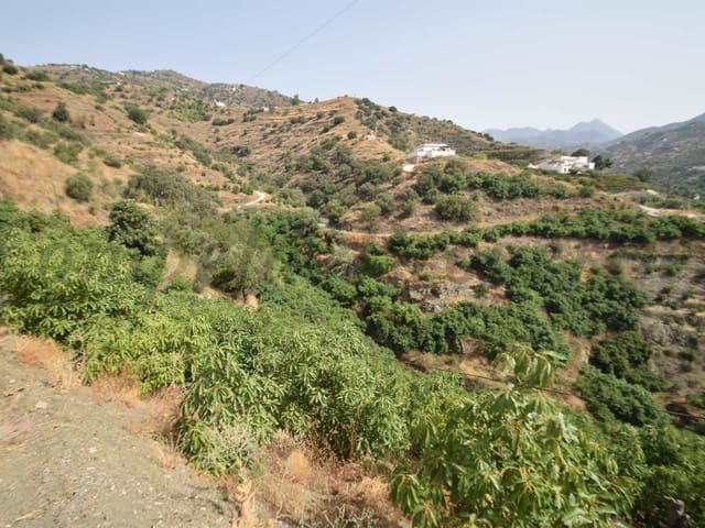 Image No.2-Terre à vendre à Torrox