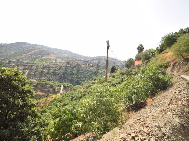 Image No.3-Terre à vendre à Torrox