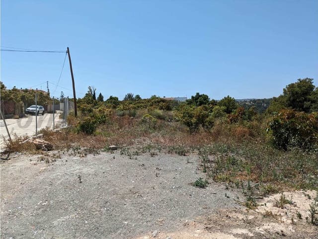 Image No.11-Finca de 3 chambres à vendre à Frigiliana