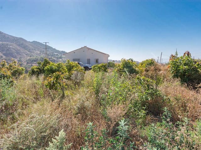 Image No.34-Finca de 3 chambres à vendre à Frigiliana