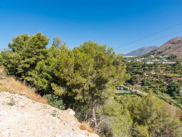 Image No.37-Finca de 3 chambres à vendre à Frigiliana