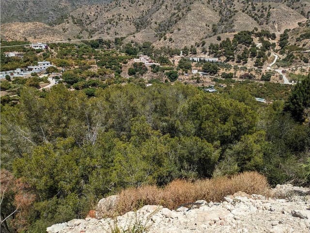 Image No.5-Finca de 3 chambres à vendre à Frigiliana