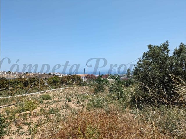 Image No.7-Finca de 3 chambres à vendre à Frigiliana