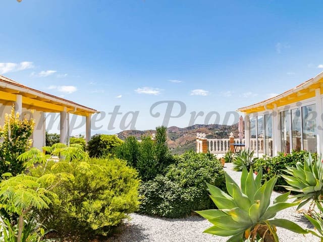 Image No.6-Finca de 7 chambres à vendre à Torrox