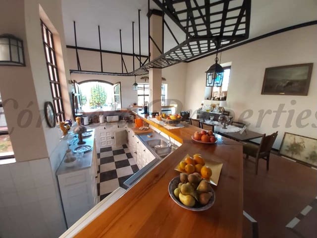 Image No.20-Villa de 4 chambres à vendre à Nerja