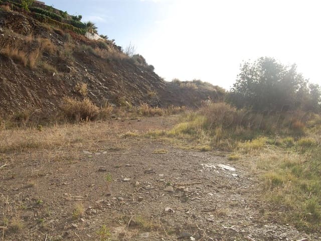 Image No.2-Terre à vendre à Sayalonga