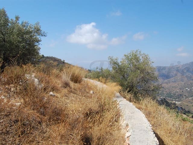 Image No.2-Terre à vendre à Cómpeta