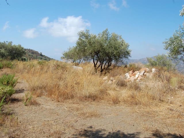 Image No.4-Terre à vendre à Cómpeta