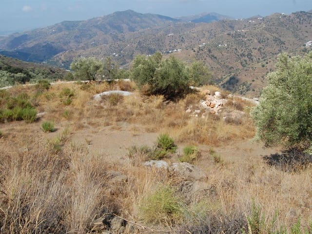 Image No.5-Terre à vendre à Cómpeta