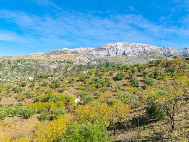 Image No.2-Terre à vendre à Sedella