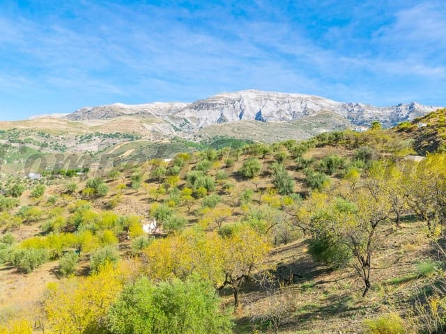 Image No.3-Terre à vendre à Sedella