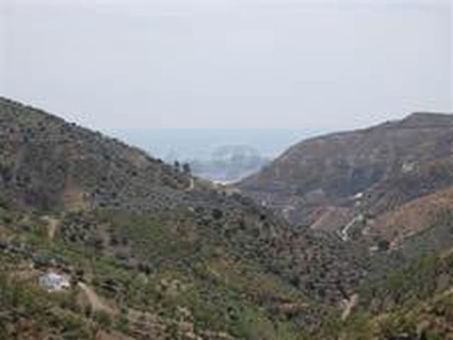 Image No.4-Terre à vendre à Arenas