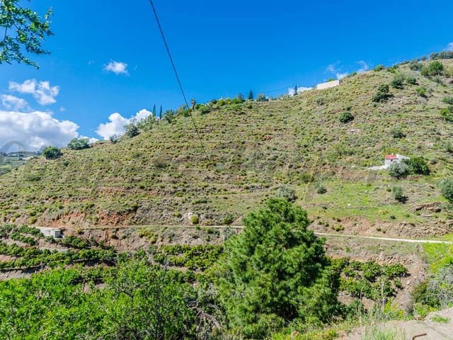 Image No.2-Terre à vendre à Cómpeta