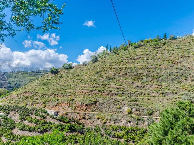 Image No.4-Terre à vendre à Cómpeta