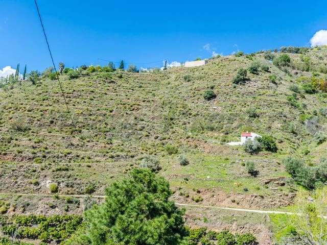 Image No.5-Terre à vendre à Cómpeta