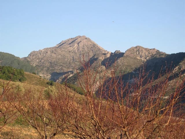 Image No.5-Terre à vendre à Canillas de Albaida