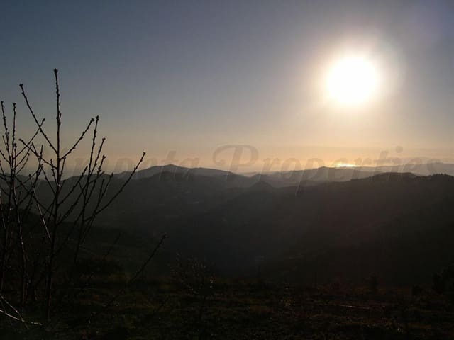 Image No.7-Terre à vendre à Canillas de Albaida