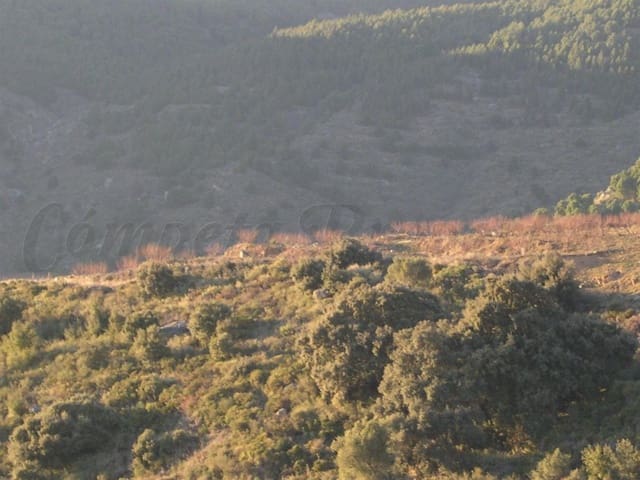 Image No.8-Terre à vendre à Canillas de Albaida