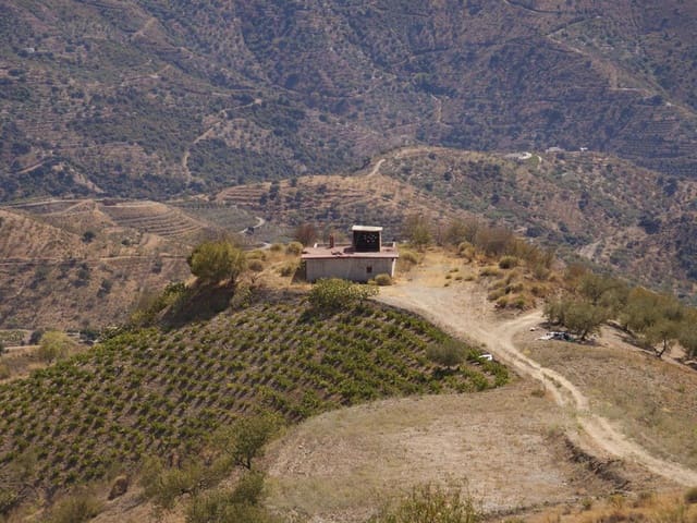 Image No.5-Terre à vendre à Sedella