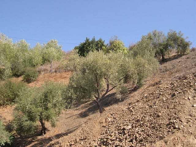 Image No.14-Terre à vendre à Canillas de Albaida