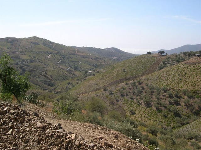 Image No.15-Terre à vendre à Canillas de Albaida