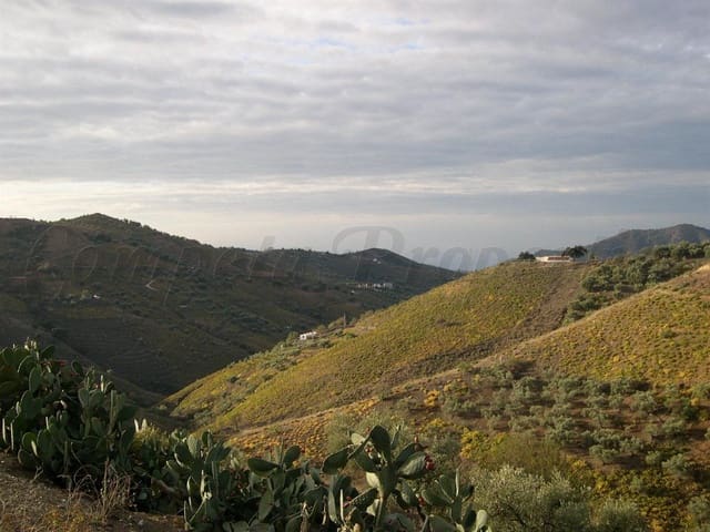 Image No.2-Terre à vendre à Canillas de Albaida