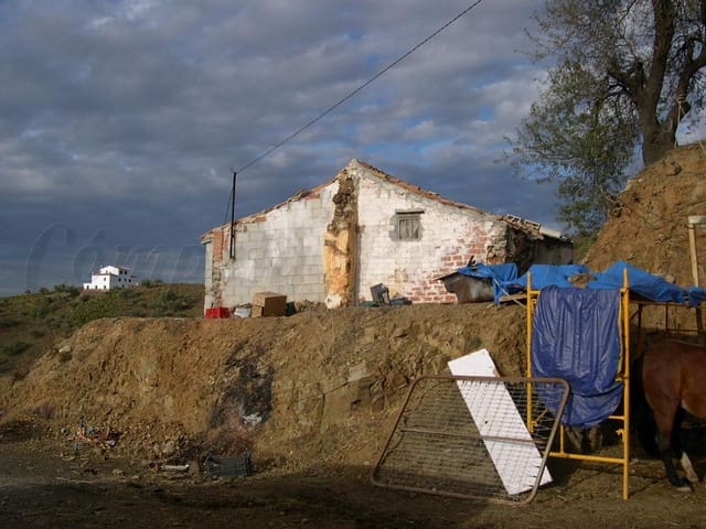 Image No.7-Terre à vendre à Canillas de Albaida