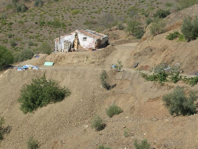 Image No.8-Terre à vendre à Canillas de Albaida