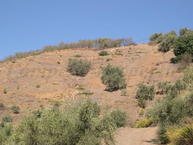 Image No.9-Terre à vendre à Canillas de Albaida