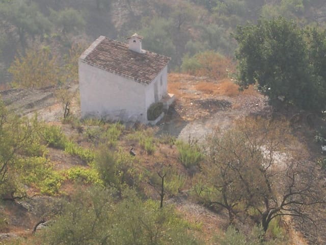 Image No.2-Terre à vendre à Sedella