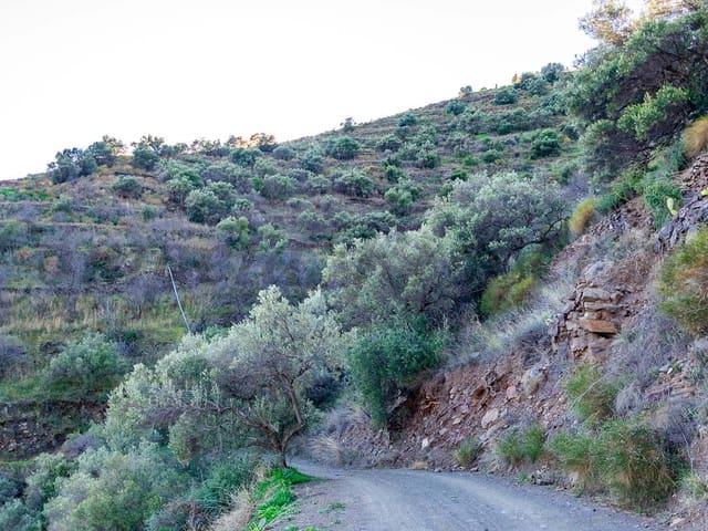 Image No.5-Terre à vendre à Torrox