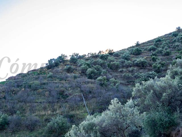 Image No.6-Terre à vendre à Torrox