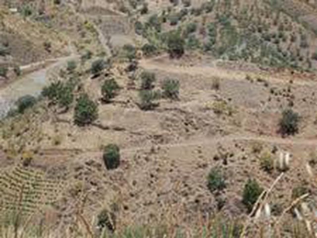 Image No.8-Land for sale