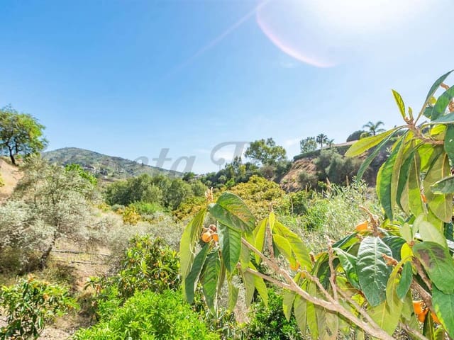 Image No.18-Finca de 3 chambres à vendre à Cómpeta