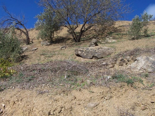 Image No.2-Terre à vendre à Archez